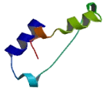 Asparagine Linked Glycosylation Protein 1 (ALG1)