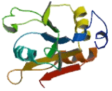 Asparagine Linked Glycosylation Protein 11 (ALG11)