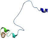 Asparagine Linked Glycosylation Protein 3 (ALG3)