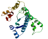 Asparagine Linked Glycosylation Protein 9 (ALG9)