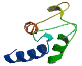 Aspartate Glutamate Carrier Isoform 1, Mitochondrial (Agc1)