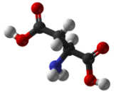 Aspartic Acid (Asp)