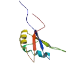 Ataxin 2 Binding Protein 1 (A2BP1)