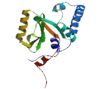 Ataxin 3 Like Protein (ATXN3L)