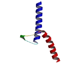 Atonal Homolog 1 (ATOH1)