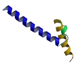 Atonal Homolog 7 (ATOH7)