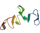 Attractin Like Protein 1 (ATRNL1)