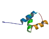 Autocrine Motility Factor Receptor (AMFR)