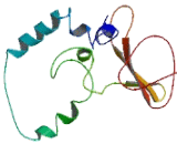 Autophagy Related Protein 2A (ATG2A)