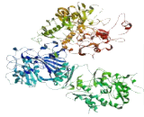 Autophagy Related Protein 2B (ATG2B)