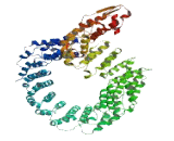 Axonemal Dynein Light Chain Domain Containing Protein 1 (AXDND1)