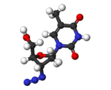 Azidothymidine (AZT)