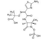 Aztreonam (ATN)