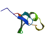 B-Box And SPRY Domain Containing Protein (BSPRY)