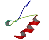 B-Cell CLL/Lymphoma 11B (Bcl11B)