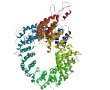 B-Cell CLL/Lymphoma 8 (Bcl8)