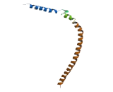 B-Cell Receptor Associated Protein 29 (BCAP29)