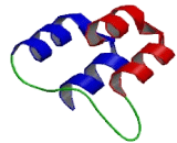 B-Cell Scaffold Protein With Ankyrin Repeats Protein 1 (BANK1)