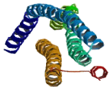 BAI1 Associated Protein 2 (BAIAP2)