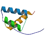 BARX Homeobox Protein 1 (BARX1)