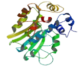 BCDIN3 Domain Containing Protein (BCDIN3D)