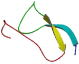 Bcl2/Adenovirus E1B 19kDa Interacting Protein 2 (BNIP2)