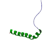 Bcl2/Adenovirus E1B 19kDa Interacting Protein 3 Like Protein (BNIP3L)