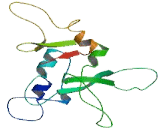 BEN Domain Containing Protein 3 (BEND3)