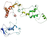 BEN Domain Containing Protein 7 (BEND7)