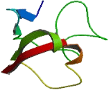 BH3-Like Motif Containing Protein, Cell Death Inducer (BLID)