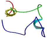 BMS1 Homolog (BMS1)