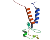 BRCA1 Associated RING Domain Protein 1 (BARD1)