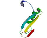 BRCA1/BRCA2 Containing Complex Subunit 3 (BRCC3)