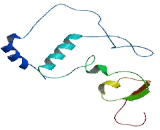 BRI3 Binding Protein (BRI3BP)