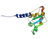 BTB And CNC Homology 1, Basic Leucine Zipper Transcription Factor 1 (BACH1)