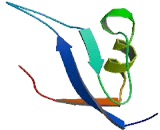 BTB/POZ Domain Containing Protein 10 (BTBD10)