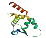 BTB/POZ Domain Containing Protein 3 (BTBD3)