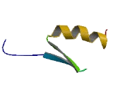 BTB/POZ Domain Containing Protein 4 (BTBD4)