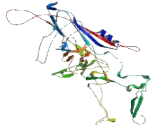 BTG3 Associated Nuclear Protein (BANP)