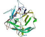 BUD13 Homolog (BUD13)