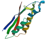 Bactericidal/Permeability Increasing Protein Like Protein 1 (BPIL1)