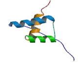 BarH Like Homeobox Protein 2 (BARHL2)