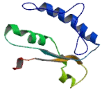 Bardet Biedl Syndrome Protein 2 (BBS2)