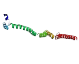 Bardet Biedl Syndrome Protein 9 (BBS9)