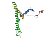 Beclin-1-Associated Autophagy Related Key Regulator (Barkor)