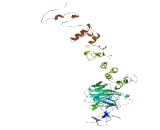 Basic, Immunoglobulin Like Variable Motif Containing Protein (BIVM)