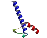 Basic Helix Loop Helix Family, Member e23 (BHLHE23)