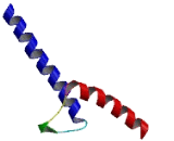 Basic Helix Loop Helix Transcription Factor 6 (HATH6)