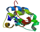 Basic Leucine Zipper And W2 Domain Containing Protein 1 (BZW1)