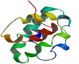 Basic Leucine Zipper And W2 Domain Containing Protein 2 (BZW2)